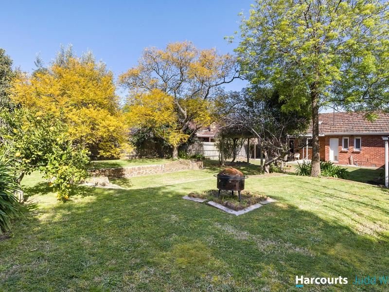 Photo - 388 Huntingdale Road, Mount Waverley VIC 3149 - Image 13