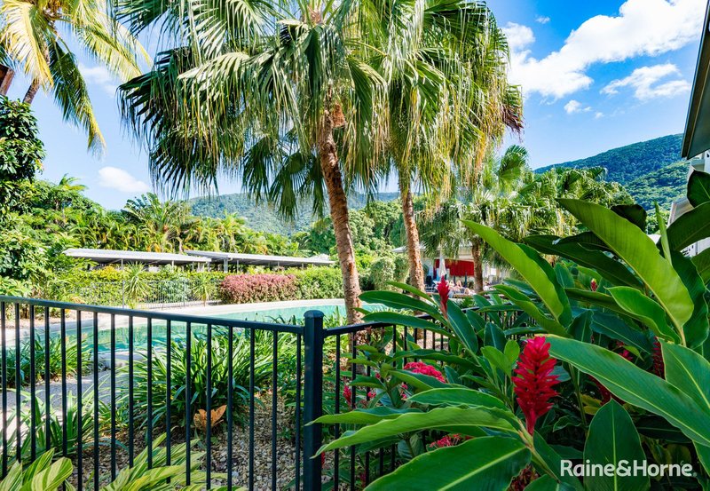 Photo - 38/81-85 Cedar Road, Palm Cove QLD 4879 - Image 24