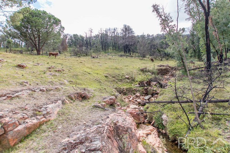 Photo - 3889 Snowy Mountains Highway, Talbingo NSW 2720 - Image 6