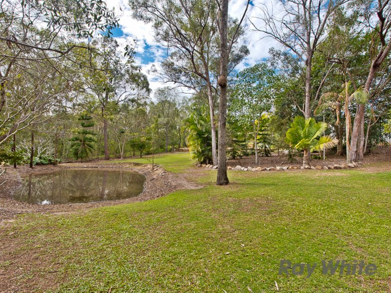 Photo - 389 Boundary Road, Narangba QLD 4504 - Image 23