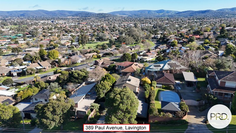 Photo - 389 Paul Avenue, Lavington NSW 2641 - Image 18