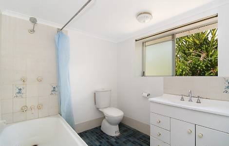 Photo - 38A Fifth Avenue, St Lucia QLD 4067 - Image 11