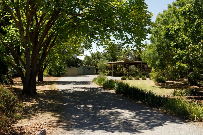 Photo - 39-41 Taylor Road, Tatura VIC 3616 - Image 17