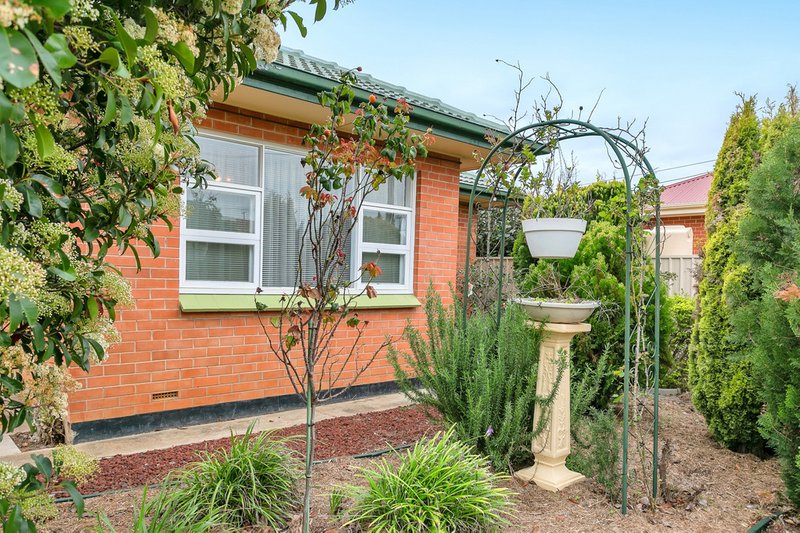 Photo - 39 Allison Street, Ascot Park SA 5043 - Image 3