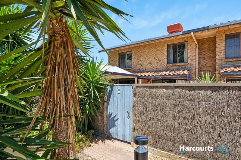 Photo - 39 Brebner Drive, West Lakes SA 5021 - Image 12