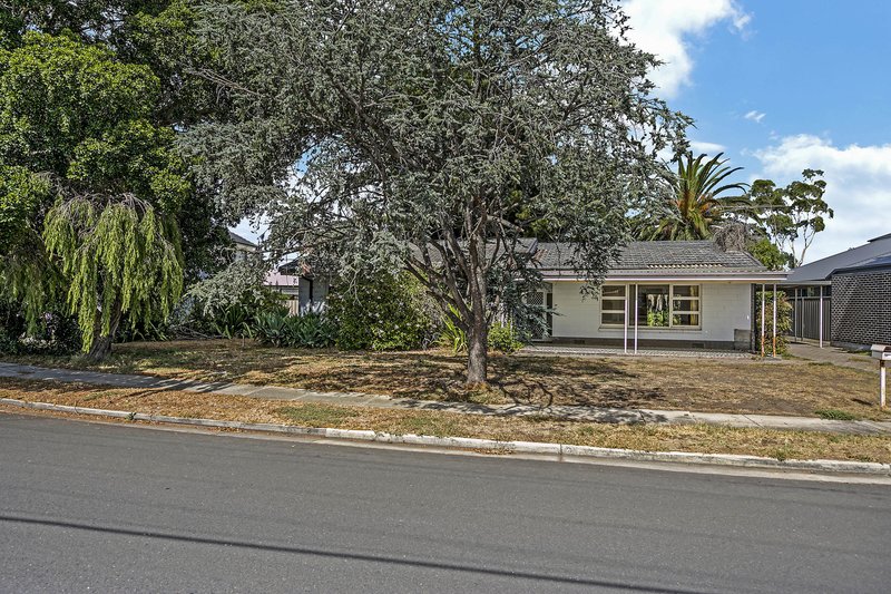 Photo - 39 Davis Street, West Beach SA 5024 - Image