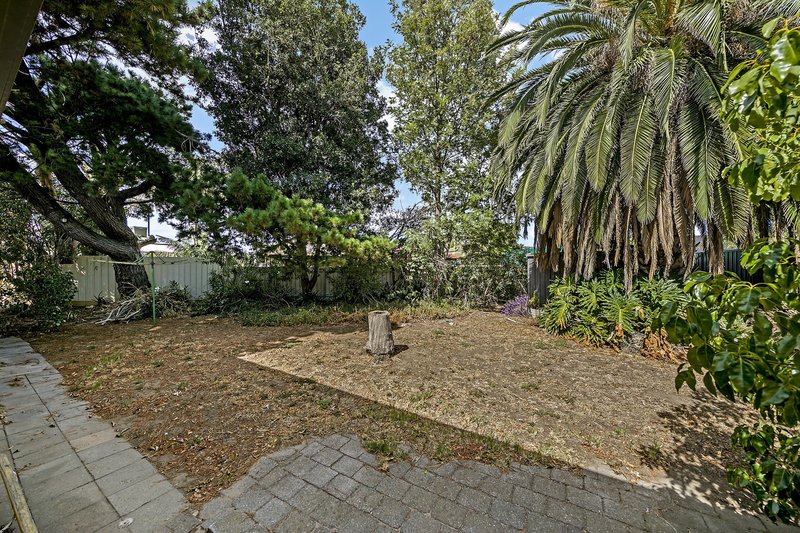 Photo - 39 Davis Street, West Beach SA 5024 - Image 9