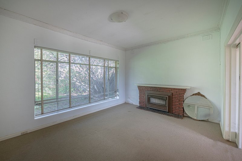 Photo - 39 Devitt Avenue, Payneham South SA 5070 - Image 6