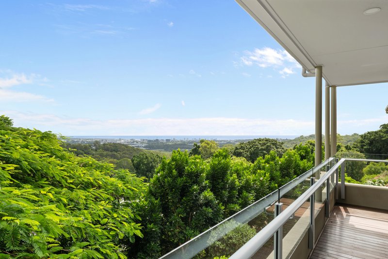 Photo - 39 Ferguson Avenue, Buderim QLD 4556 - Image 22