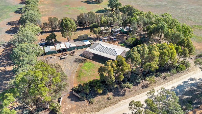 Photo - 39 Goodfellow Road, Bagot Well SA 5373 - Image 5