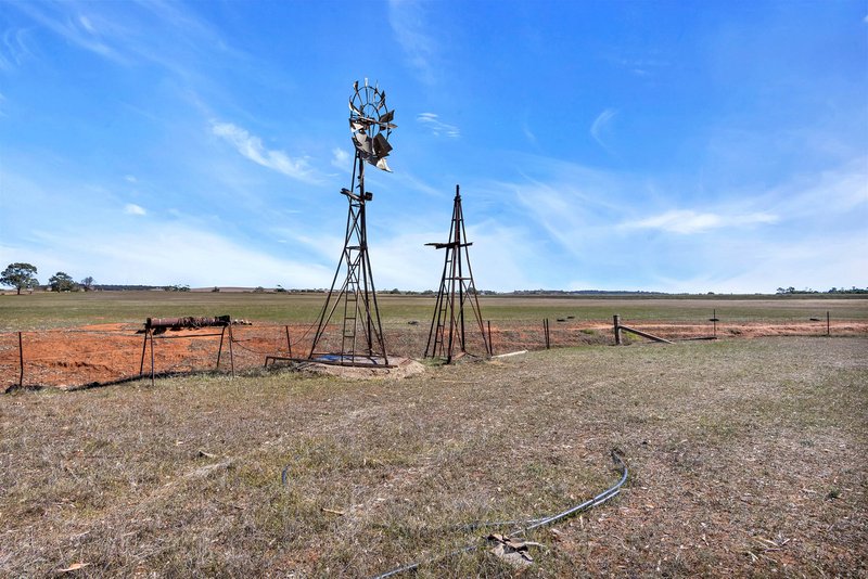Photo - 39 Goodfellow Road, Bagot Well SA 5373 - Image 7
