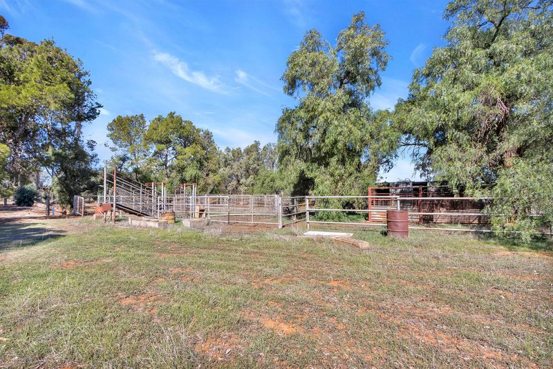 Photo - 39 Goodfellow Road, Bagot Well SA 5373 - Image 9