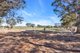 Photo - 39 Goodfellow Road, Bagot Well SA 5373 - Image 10