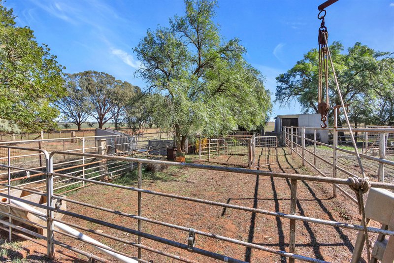 Photo - 39 Goodfellow Road, Bagot Well SA 5373 - Image 11