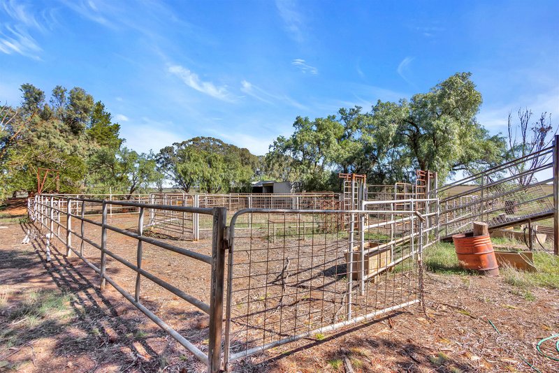 Photo - 39 Goodfellow Road, Bagot Well SA 5373 - Image 12