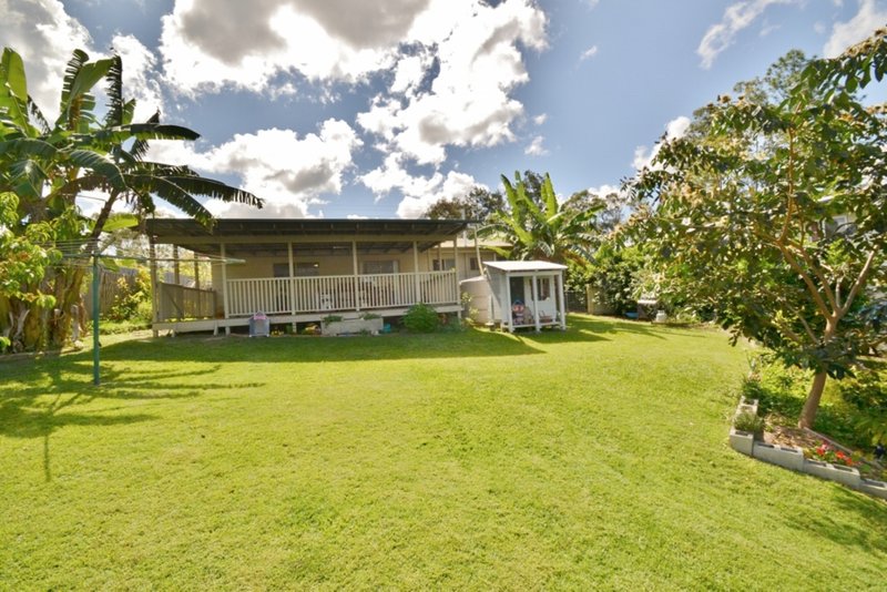 Photo - 39 Gympie Street South, Landsborough QLD 4550 - Image 16