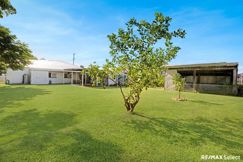 Photo - 39 Holland Street, West Mackay QLD 4740 - Image 17