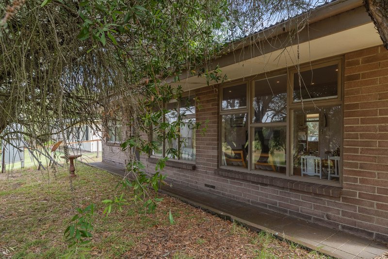 Photo - 39 Honeysuckle Grove, Silverleaves VIC 3922 - Image 2