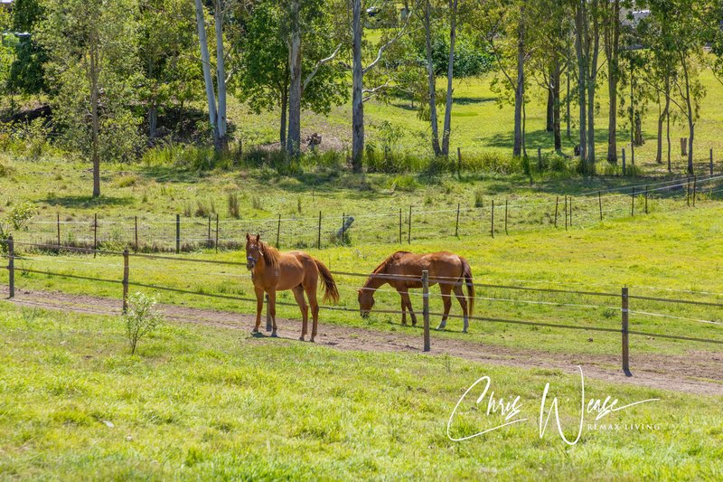 Photo - 39 Jayen Drive, Royston QLD 4515 - Image 22