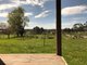 Photo - 39 Kimberley Road, Railton TAS 7305 - Image 3