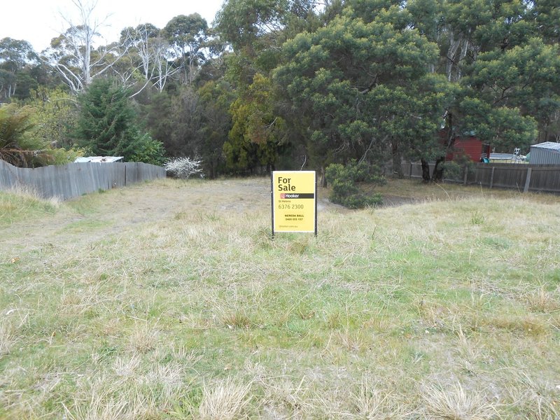 Photo - 39 Lawry Heights, St Helens TAS 7216 - Image 2