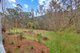 Photo - 39 Lochiel Road Lankeys Creek , Holbrook NSW 2644 - Image 23