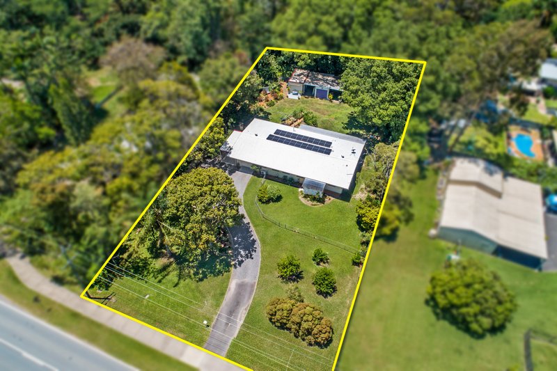 Photo - 39 Maleny Street, Landsborough QLD 4550 - Image 2