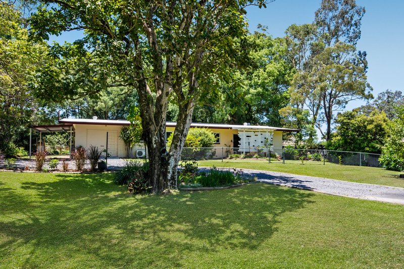 Photo - 39 Maleny Street, Landsborough QLD 4550 - Image 13