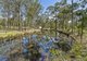 Photo - 39 Mclaughlan Road, Benarkin North QLD 4314 - Image 15
