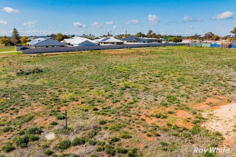 Photo - 39 Methul Street South, Coolamon NSW 2701 - Image 5