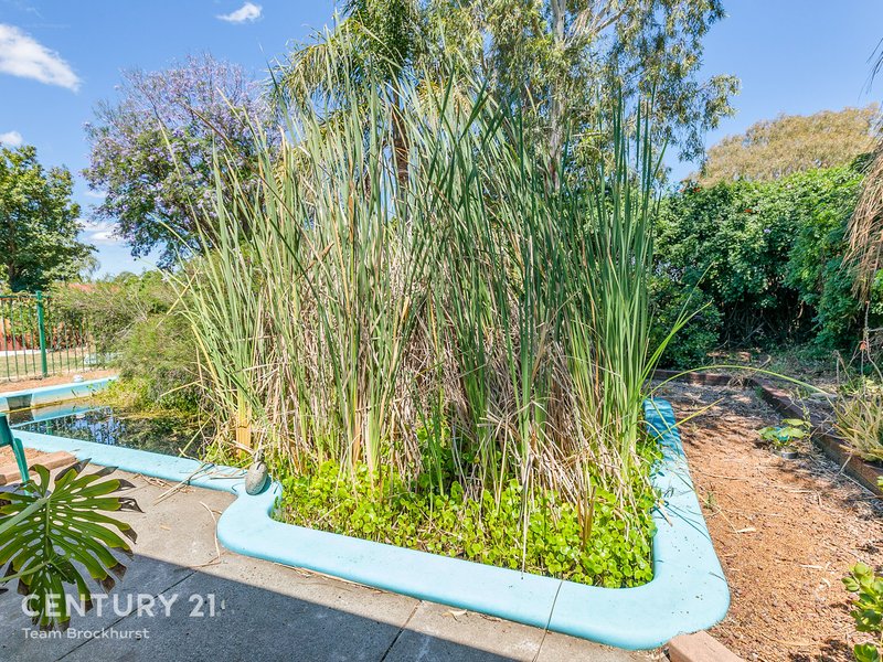 Photo - 39 Moss Street, Huntingdale WA 6110 - Image 25