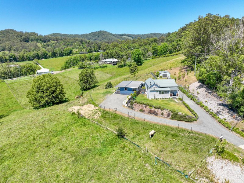 Photo - 39 Old Brierfield Road, Bellingen NSW 2454 - Image 22