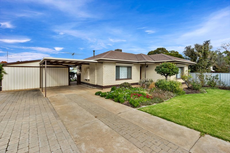39 Old Kapunda Road, Nuriootpa SA 5355