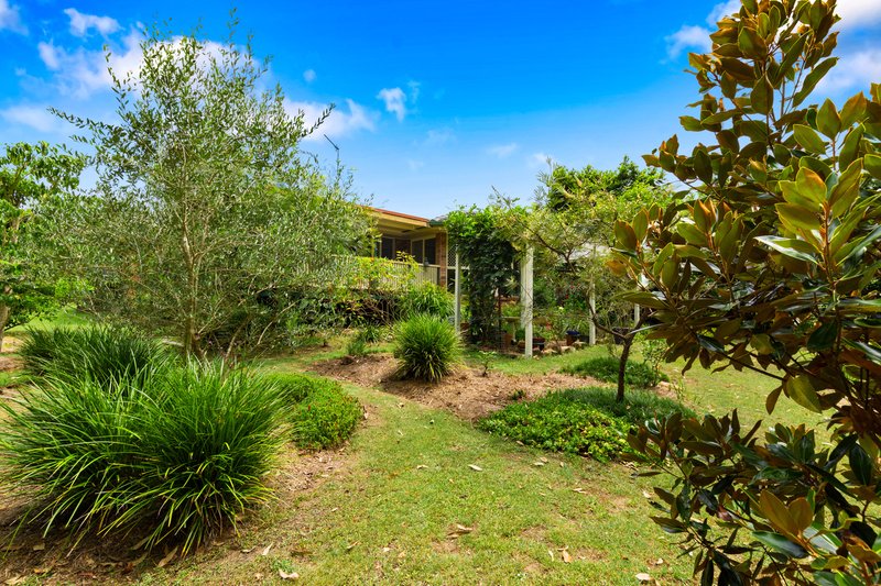 Photo - 39 Peterson Road, Woodford QLD 4514 - Image 16