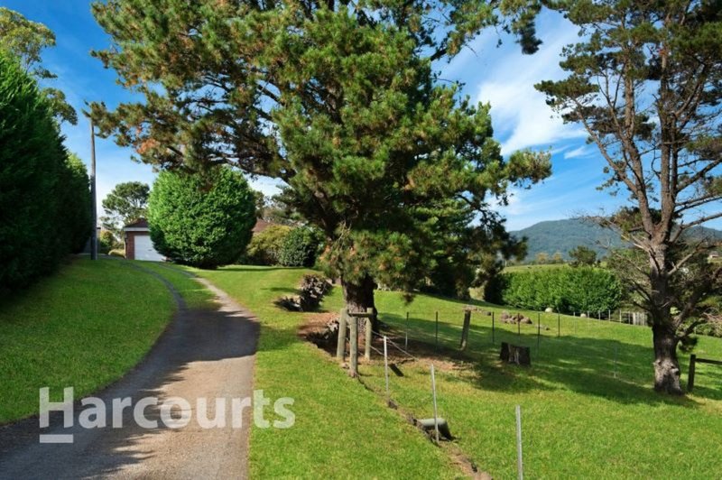 Photo - 39 Riversdale Road, Kiama NSW 2533 - Image 3