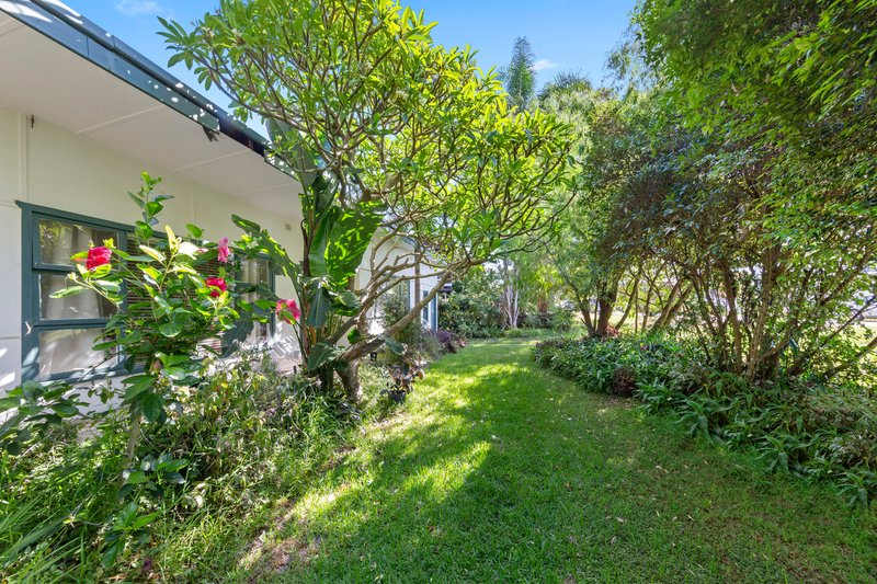 Photo - 39 Ross Street, North Curl Curl NSW 2099 - Image 3