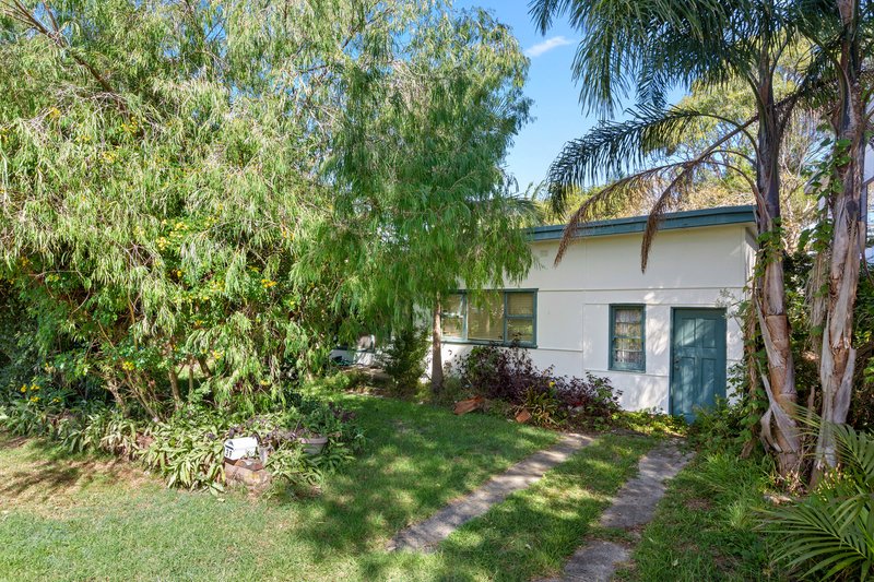 Photo - 39 Ross Street, North Curl Curl NSW 2099 - Image 6