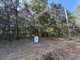 Photo - 39 Rumbin Street, Russell Island QLD 4184 - Image 1
