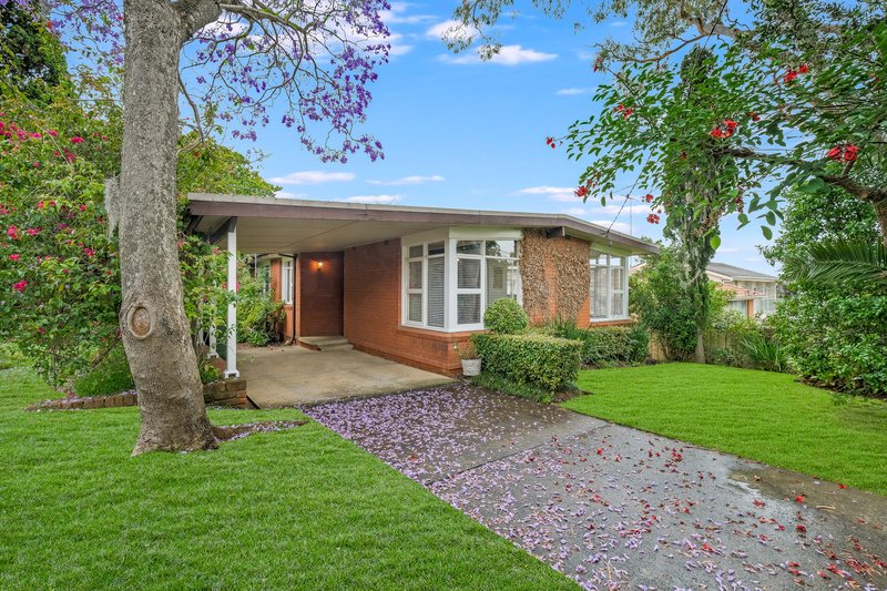 Photo - 39 Wendy Avenue, Georges Hall NSW 2198 - Image 2