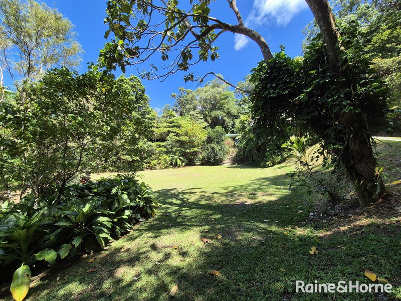 Photo - 39 Whiteley Road, Miallo QLD 4873 - Image 4