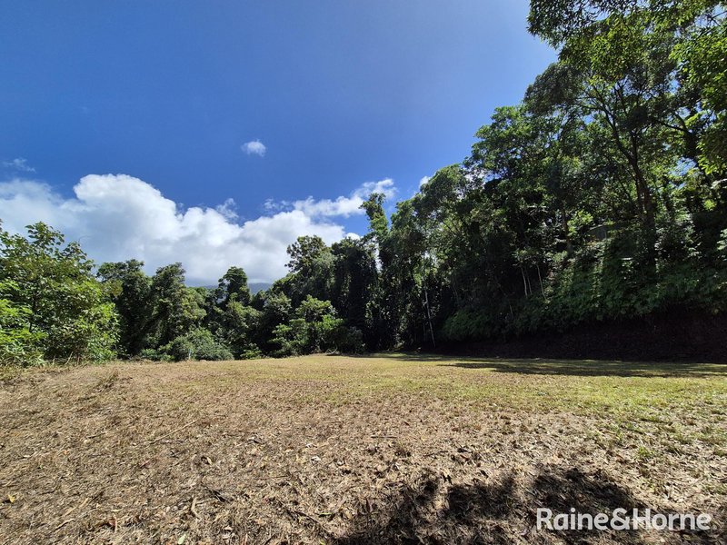 Photo - 39 Whiteley Road, Miallo QLD 4873 - Image 7