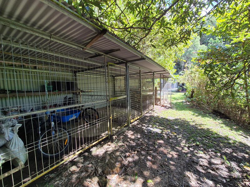 Photo - 39 Whiteley Road, Miallo QLD 4873 - Image 13