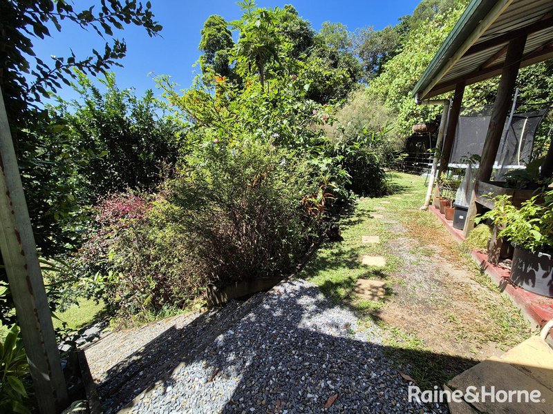 Photo - 39 Whiteley Road, Miallo QLD 4873 - Image 14