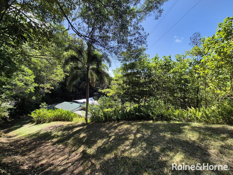 Photo - 39 Whiteley Road, Miallo QLD 4873 - Image 17