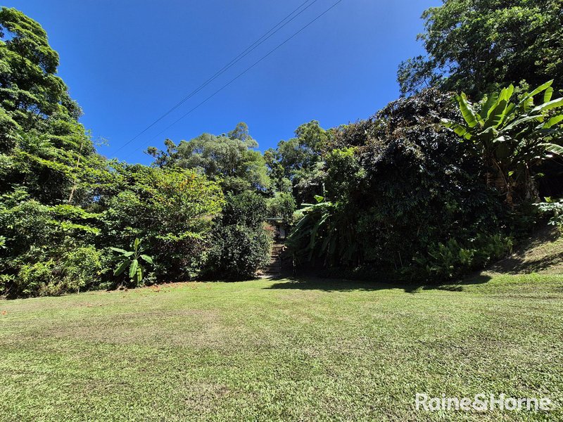 Photo - 39 Whiteley Road, Miallo QLD 4873 - Image 23