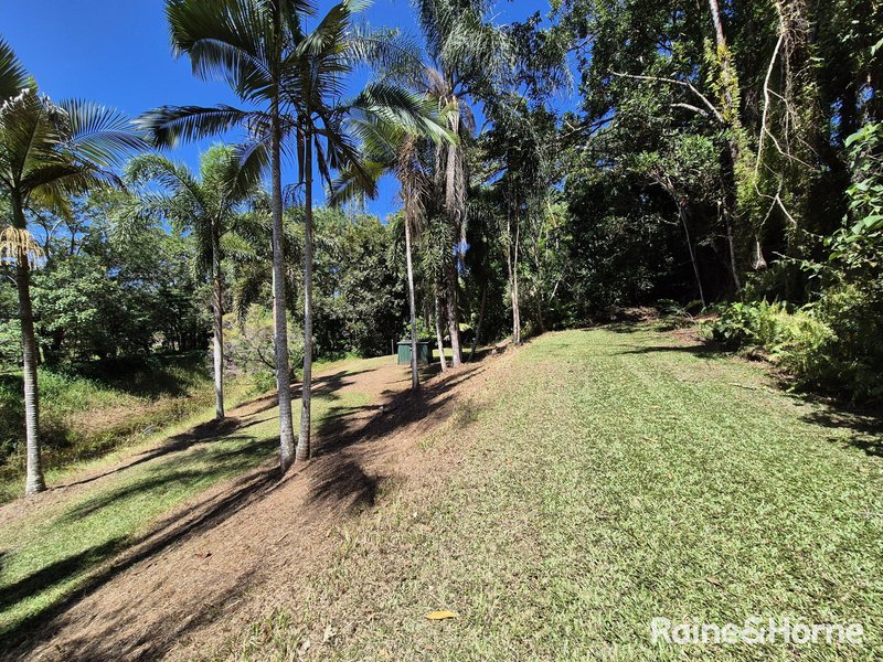 Photo - 39 Whiteley Road, Miallo QLD 4873 - Image 25