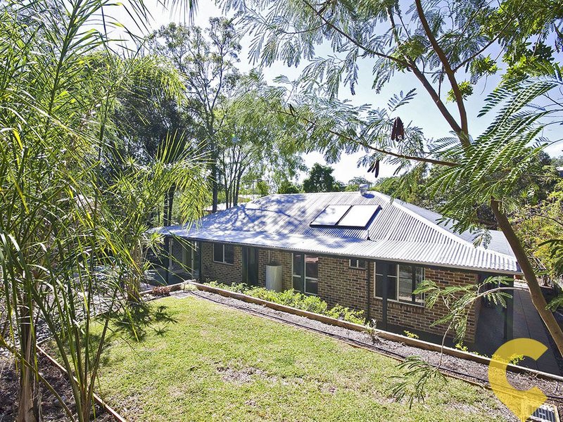 Photo - 39 Yathong Court, Arana Hills QLD 4054 - Image 14