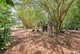 Photo - 390 Gulnare Road, Bees Creek NT 0822 - Image 30