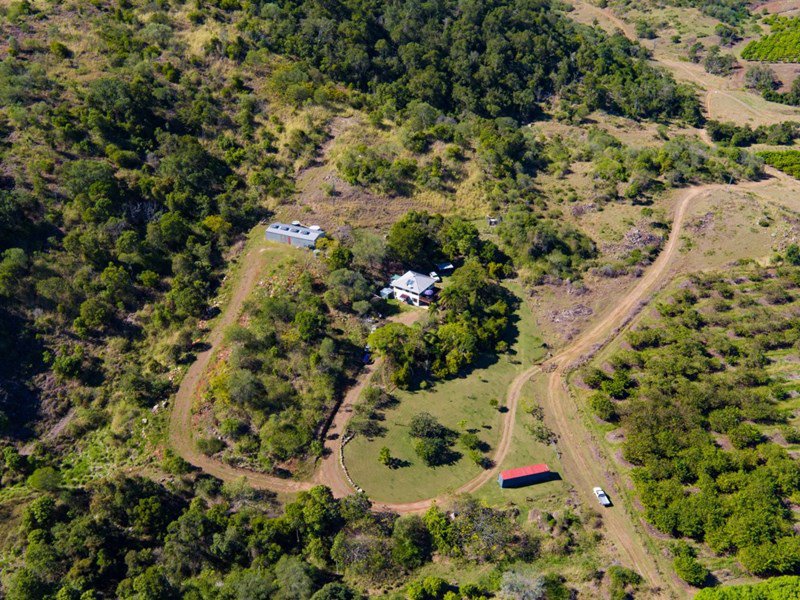 Photo - 390 Spring Valley Road, West Stowe QLD 4680 - Image 23