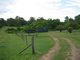 Photo - 390 Spring Valley Road, West Stowe QLD 4680 - Image 24